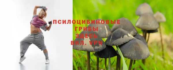 гашиш Белокуриха
