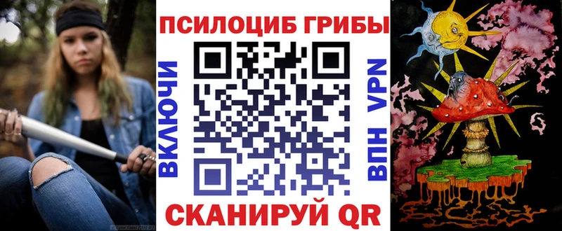 Купить закладки  Куйбышев  Псилоцибиновые грибы Psilocybine cubensis 