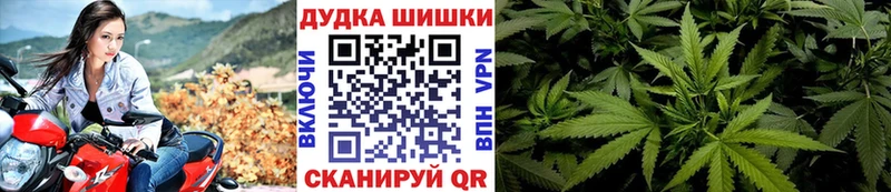 Купить закладки  Куйбышев  Бошки марихуана гибрид 
